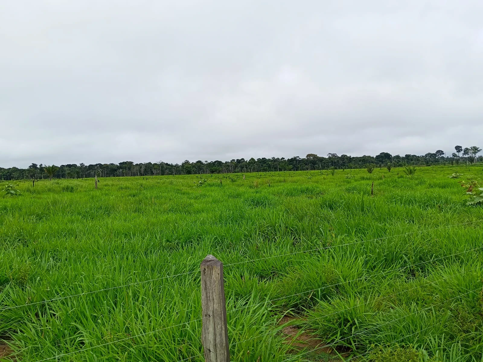 Fazenda à Venda, 132 m² em Candeias do Jamari - Candeias do Jamari