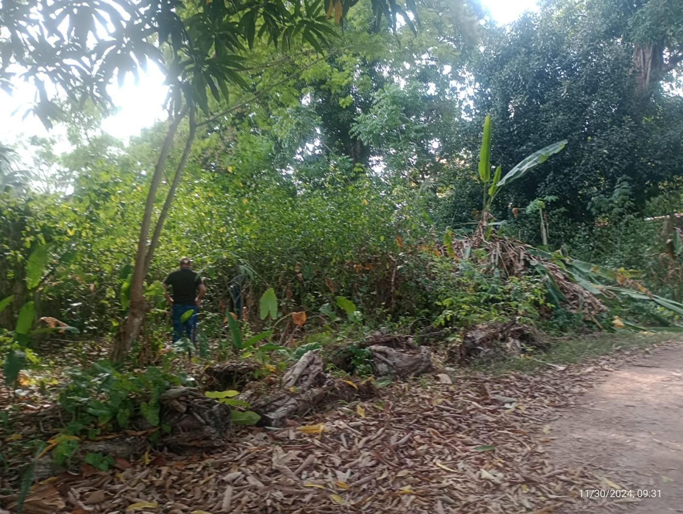 Imagem Chácara à Venda, 55.950 m² em São João do Outeiro (Outeiro) - Belém