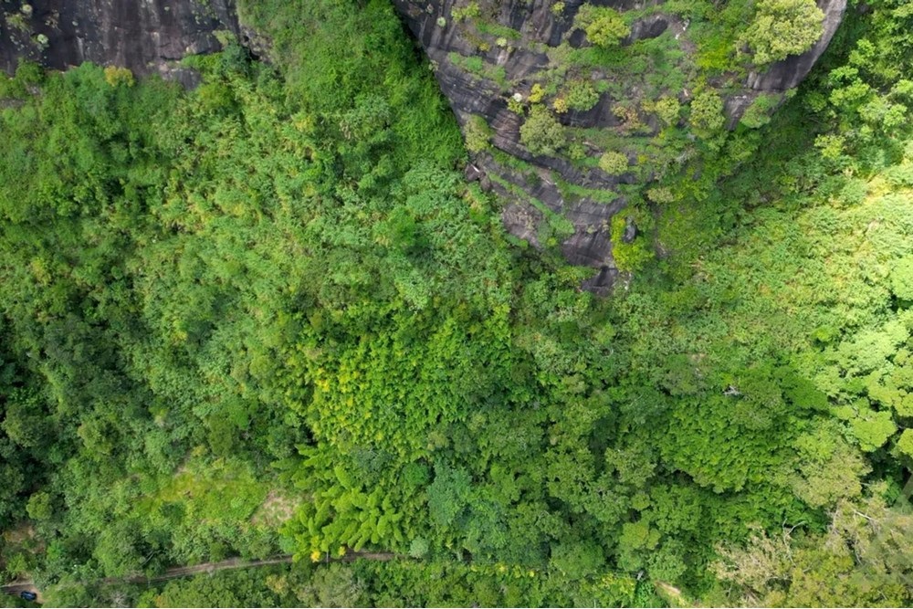 Foto do imóvel: Terreno à Venda, 20.071 m² em Pedro do Rio - Petrópolis