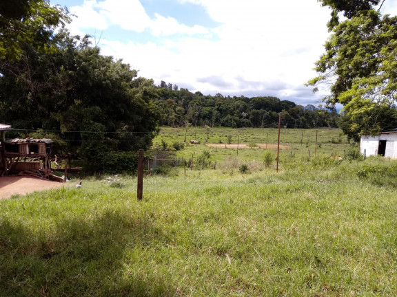 Imagem Chácara com 4 Quartos à Venda, 25.000 m²em Jardim Palmeiras - Caçapava