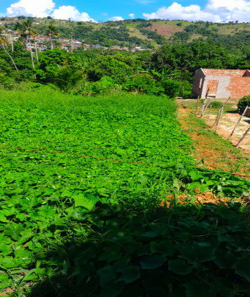 Foto do imóvel: Terreno à Venda, 690 m² em Matriz - Vitória de Santo Antão