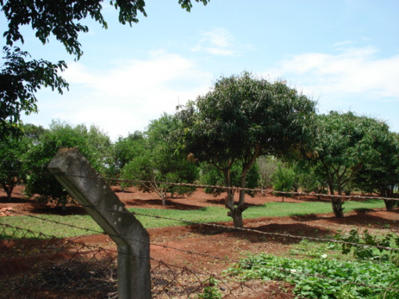 Imagem Chácara com 1 Quarto à Venda, 200 m² em Cercado - Araçoiaba da Serra