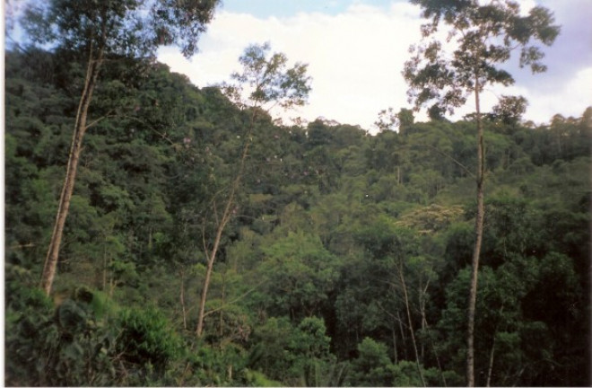 Imagem Terreno à Venda, 726.000 m² em Jardim Mirna - Taboão da Serra