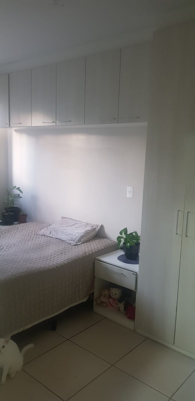Imagem Apartamento com 2 Quartos à Venda, 49 m²em Praia de Fora - Palhoça