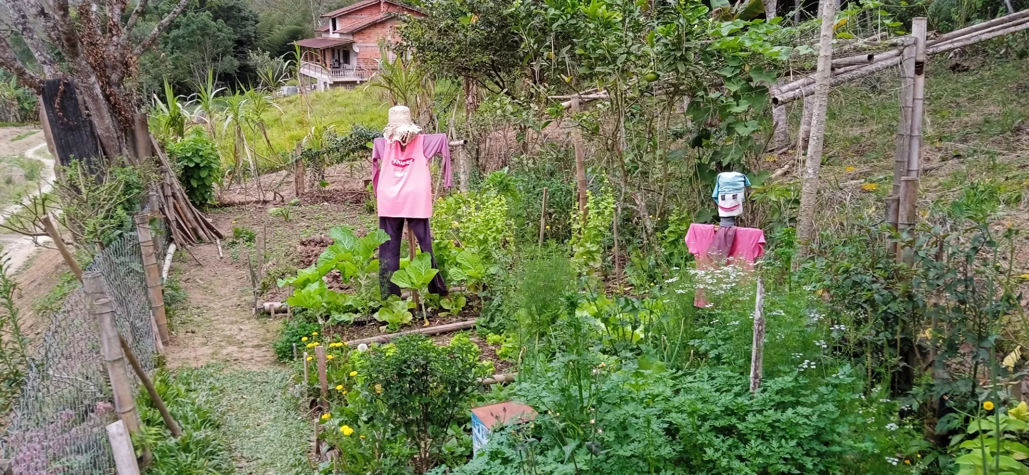 Foto do imóvel: Chácara com 6 Quartos à Venda, 12400 m² em Mogi das Cruzes - Mogi das Cruzes