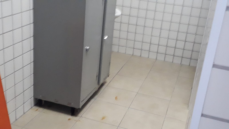 Imagem Imóvel Comercial para Alugar, 700 m² em Vila Guarani (Z Sul) - São Paulo