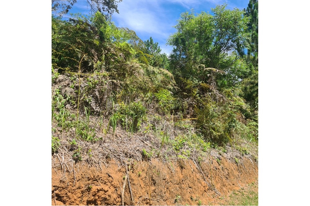 Imagem Terreno à Venda, 5.030 m² em Cuiabá - Petrópolis