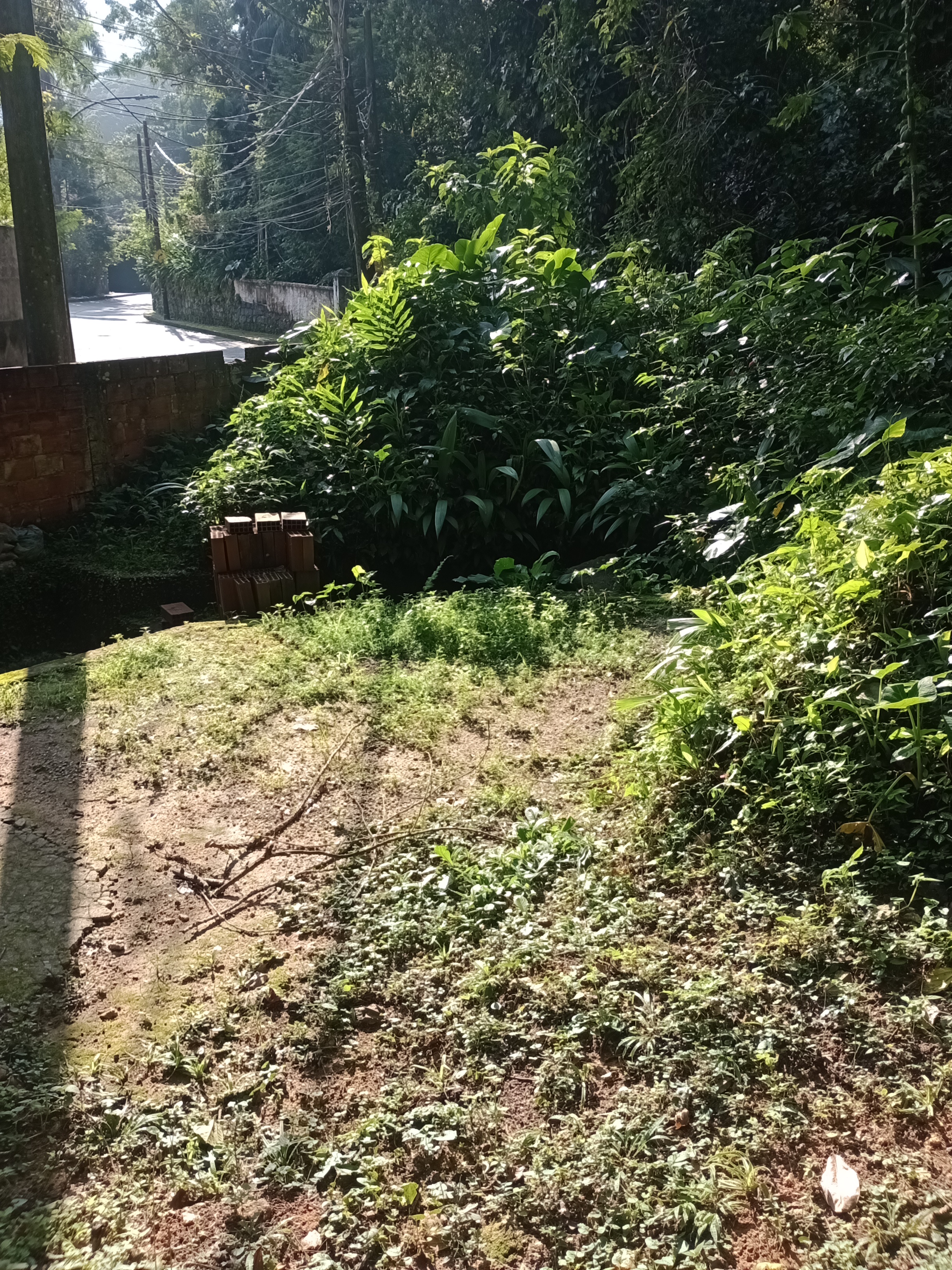 Imagem Terreno à Venda, 12.653 m² em Alto da Boa Vista - Rio de Janeiro