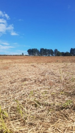 Terreno à Venda, 500 m² em verava - Ibiúna