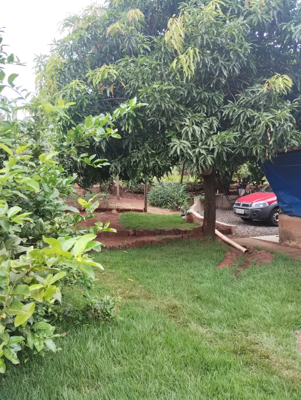 Imagem Chácara com 2 Quartos à Venda, 90 metros em Pitangueiras - Pitangueiras