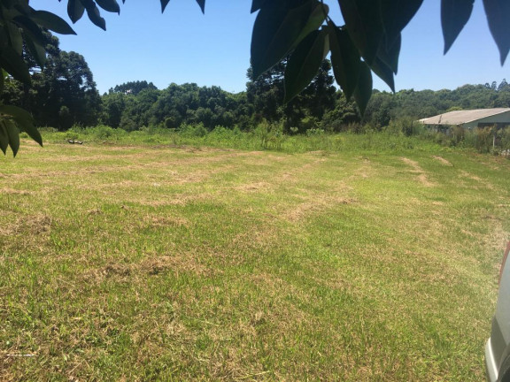 Imagem Chácara com 4 Quartos à Venda, 6.400 m² em RIO DA VARZEA - Agudos do Sul