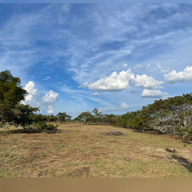 Foto do imóvel: Chácara à Venda, 60 m² em alto alegre - Alto Alegre