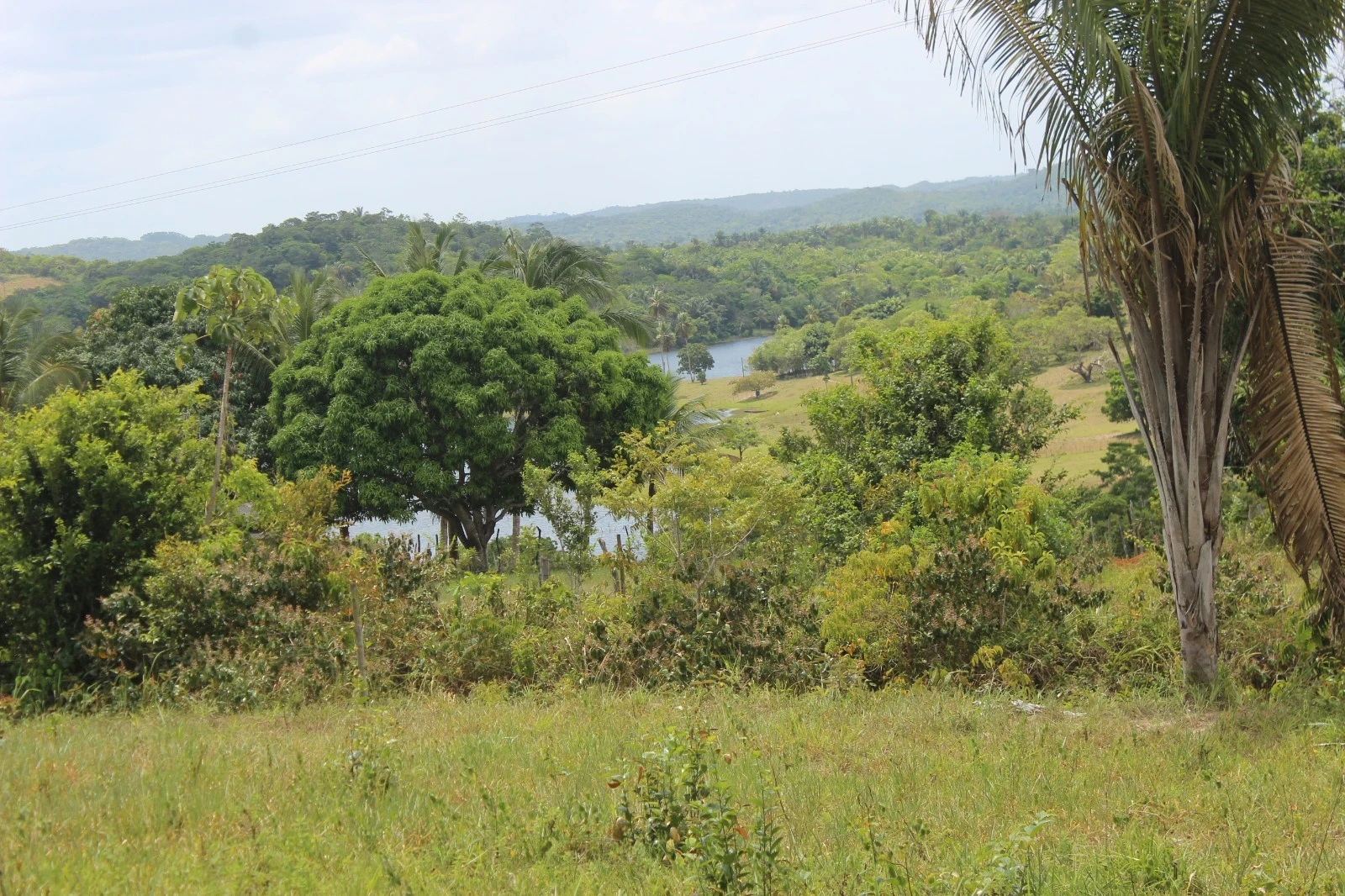 Foto do imóvel: Chácara com 2 Quartos à Venda, 20100 m² em Mata de São João - Mata de São João