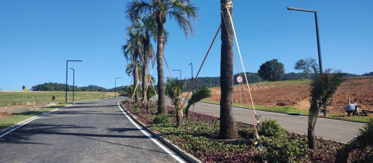 Imagem Terreno à Venda, 800 m² em São Simão - Criciúma