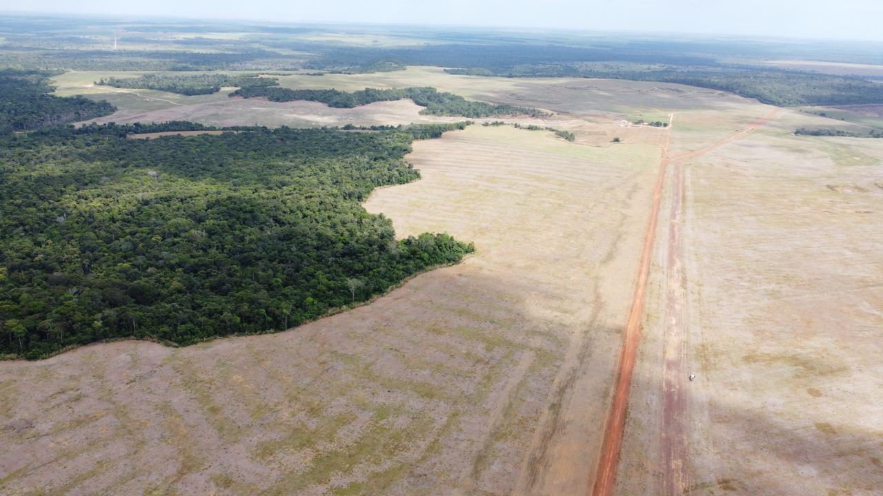 Imagem Fazenda à Venda, 400 Alq. GO em ZONA RURAL - Confresa
