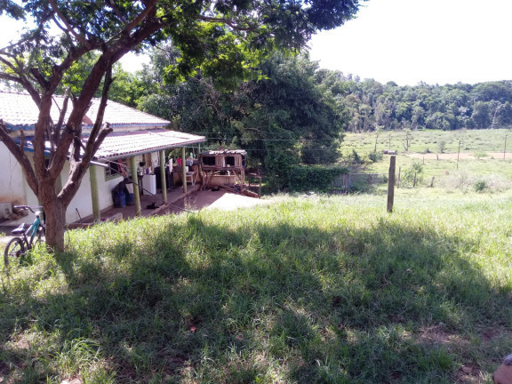 Imagem Chácara com 4 Quartos à Venda, 25.000 m²em Jardim Palmeiras - Caçapava