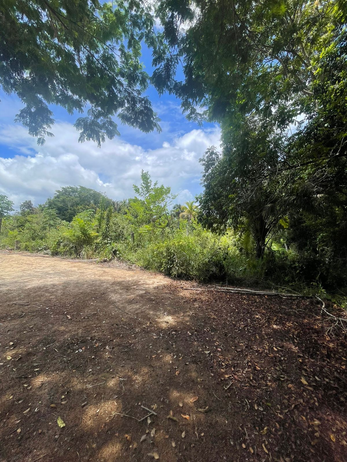 Imagem Terreno à Venda, 300 m² em centro - Una