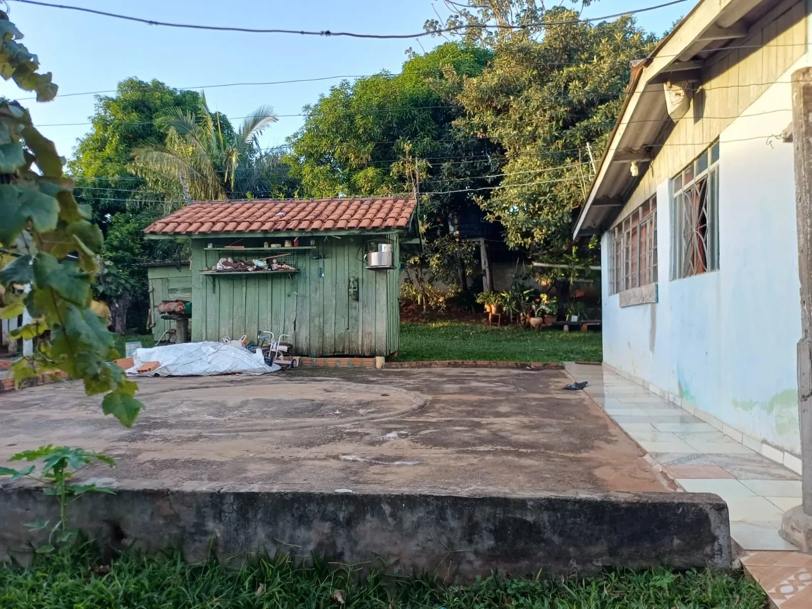 Imagem Chácara com 6 Quartos à Venda, 400 m² em Pitangueiras - Pitangueiras