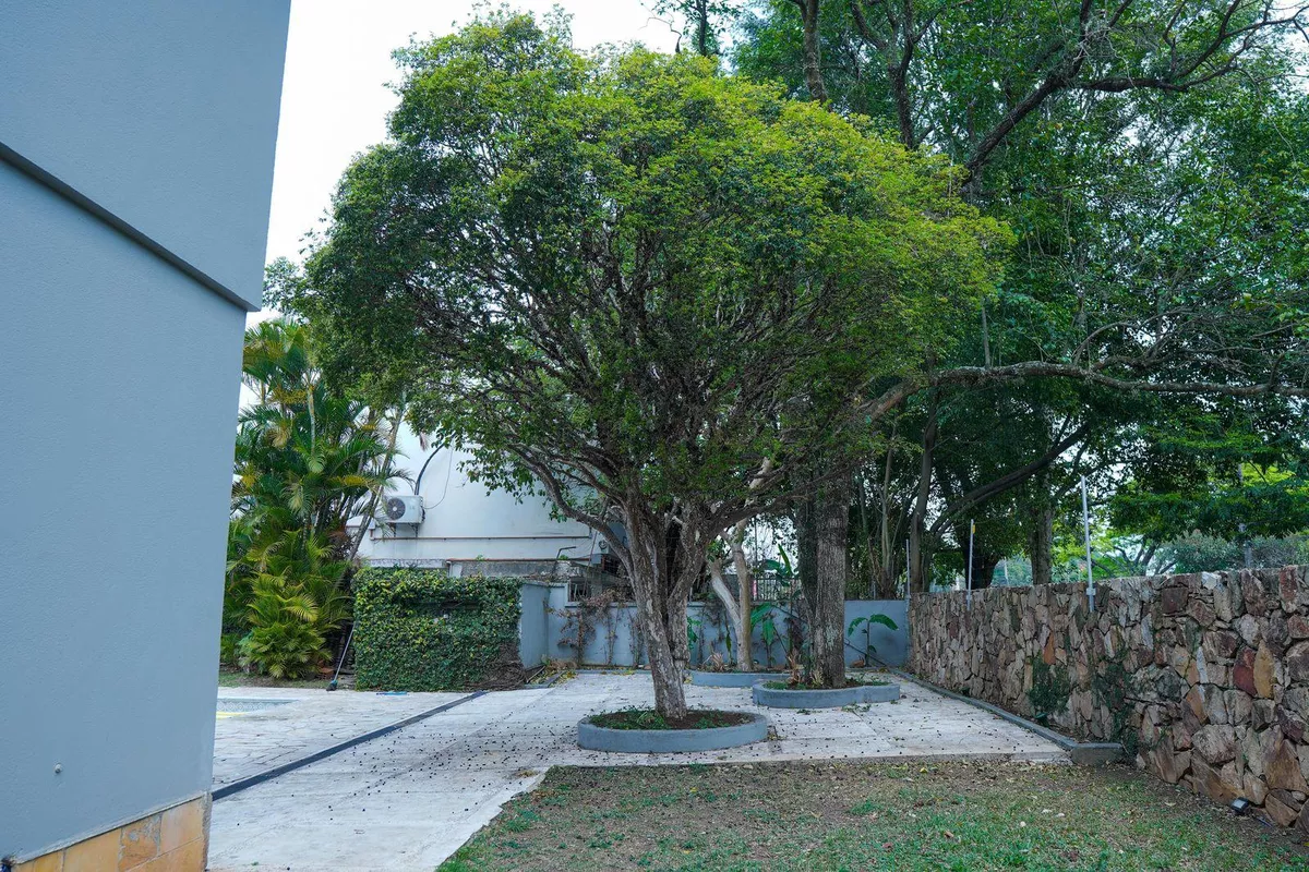 Imagem Casa com 5 Quartos à Venda ou Locação, 420 m² em Alto de Pinheiros - São Paulo