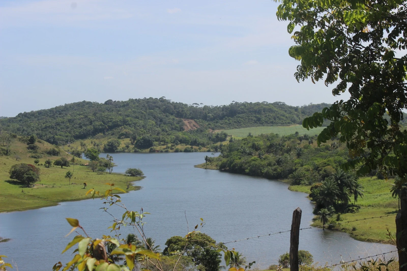 Foto do imóvel: Chácara com 2 Quartos à Venda, 20100 m² em Mata de São João - Mata de São João