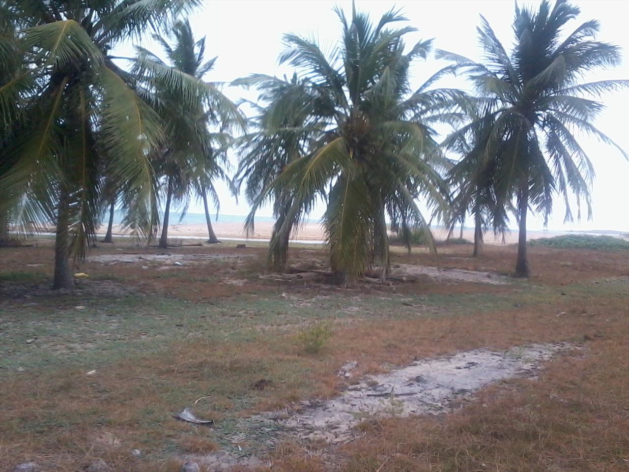 Imagem Terreno à Venda, 168.640 m² em Praia de Pititinga - Rio do Fogo