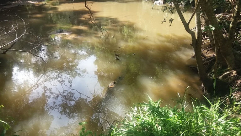 Imagem Fazenda à Venda, 54 Alq GOem Setor Central - Faina