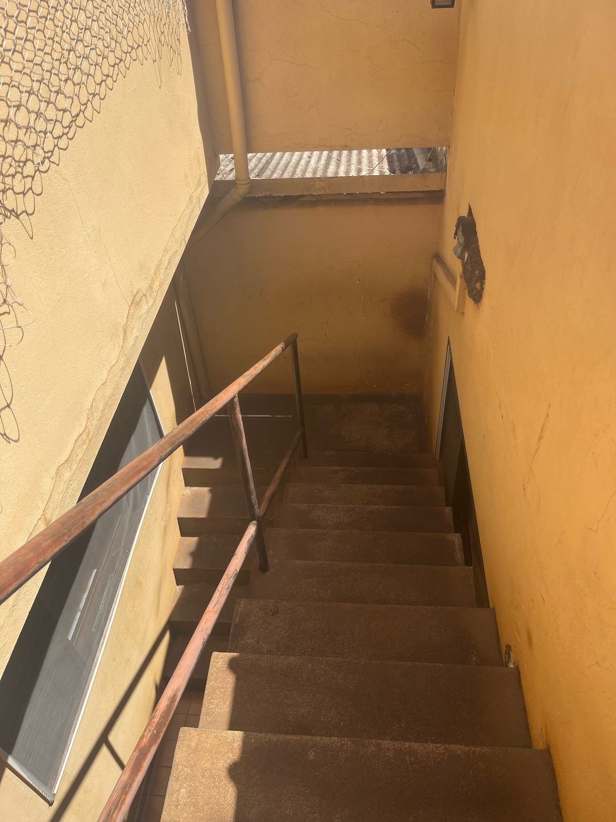 Imagem Imóvel Comercial à Venda, 200 m² em Avelino Alves Palma - Ribeirão Preto