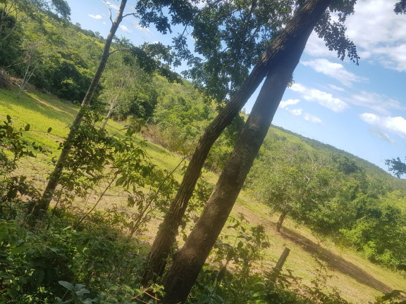 Fazenda à Venda,  em Área Rural - Padre Bernardo