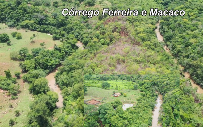 Imagem Fazenda à Venda, 54 Alq GOem Setor Central - Faina