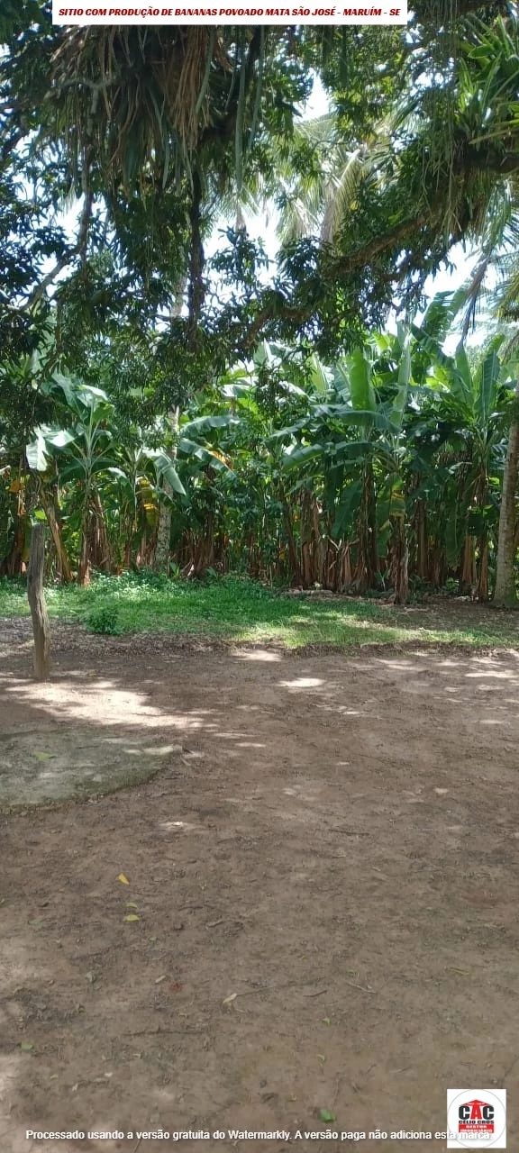 Foto do imóvel: Chácara com 2 Quartos à Venda, 80 m² em Maruim - Maruim