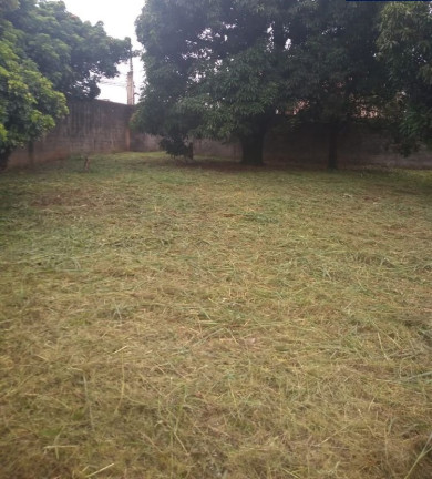 Imagem Terreno à Venda, 1.548 m² em Jardim Cocaia - Guarulhos