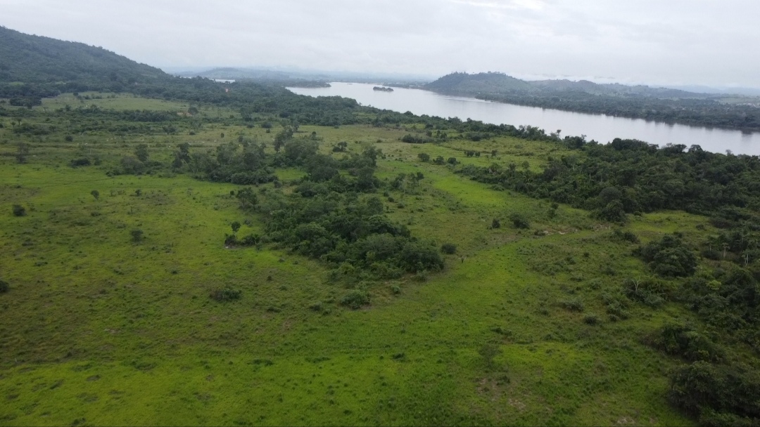 Foto do imóvel: Fazenda à Venda, 90 m²em Centro - São Félix do Xingu