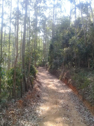 Imagem Terreno à Venda, 123.000 m² em Zona Rural - Santa Bárbara do Tugúrio