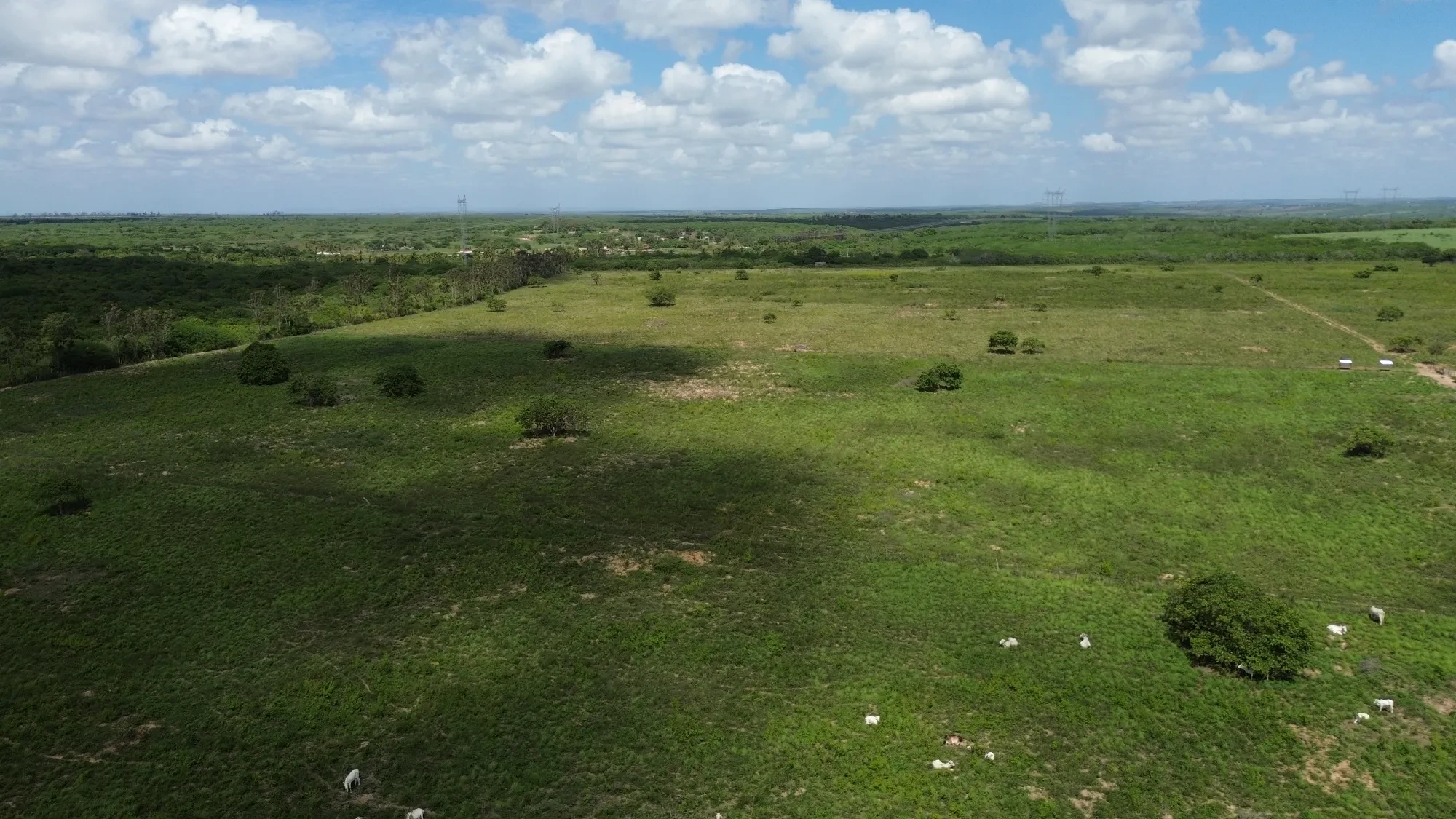 Foto do imóvel: Fazenda à Venda, 100 HA em Fabrício Pedroza - Macaíba