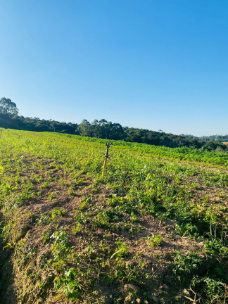 Imagem Chácara à Venda, 1.000 m² em Votora Curral Paruru - Ibiúna