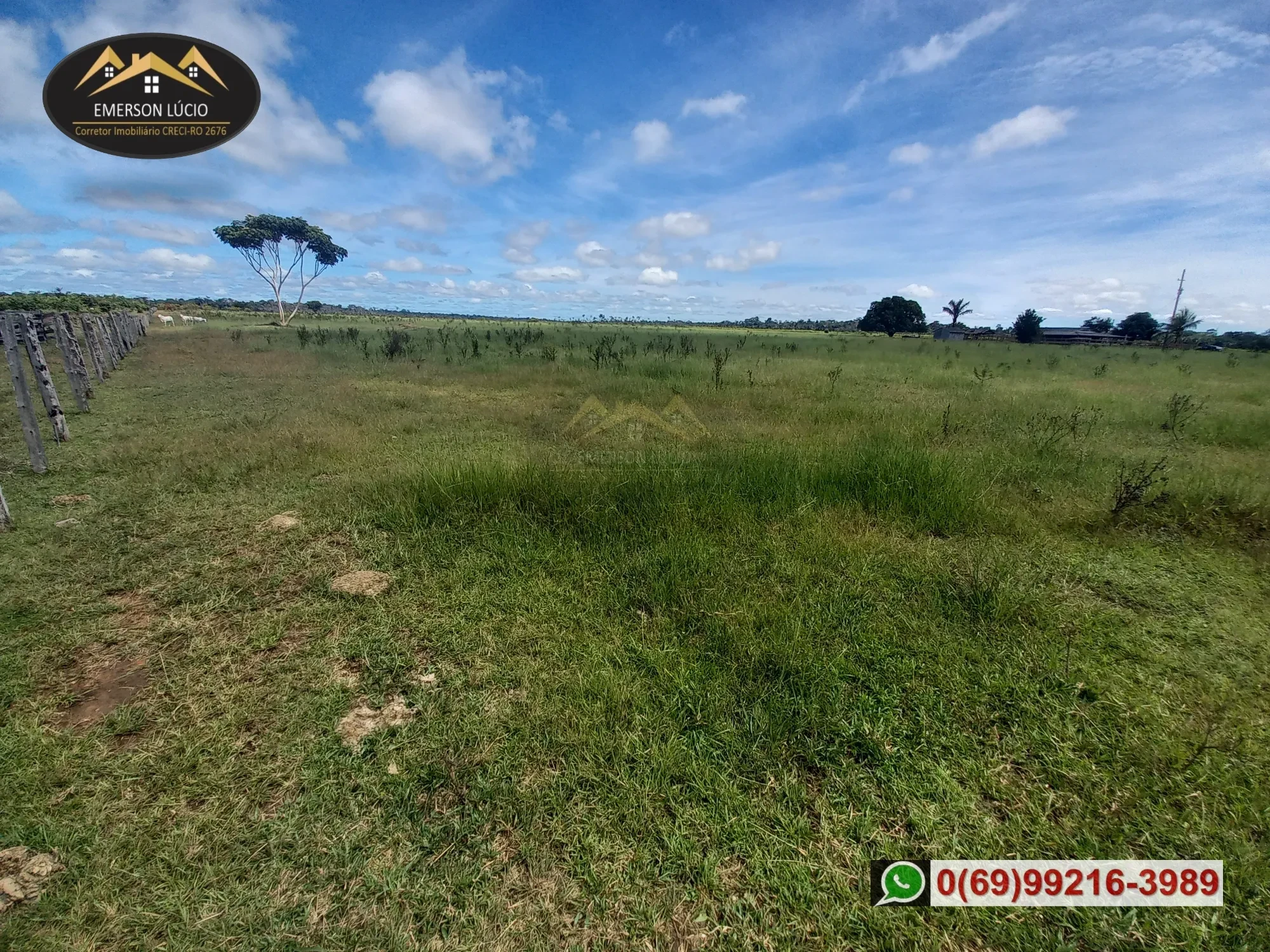 Imagem Fazenda à Venda, 54 HA em Área Rural de Porto Velho - Porto Velho