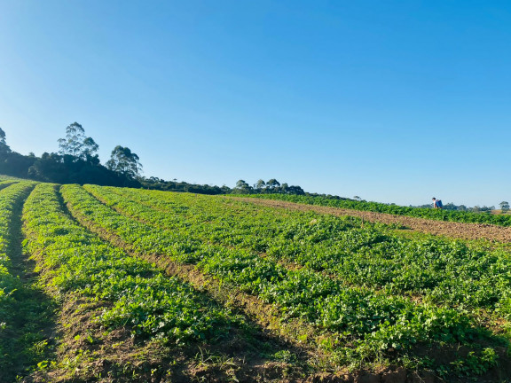 Terreno em Condomínio à Venda, 1.000 m² em verava - Ibiúna