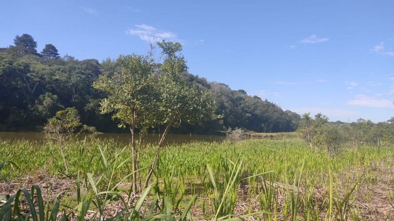 Imagem Terreno à Venda, 1.000 m² em Verava - Ibiúna