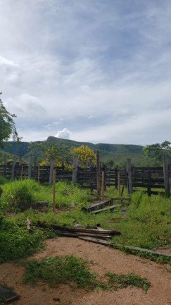 Imagem Chácara com 5 Quartos à Venda, em Centro - Simolândia