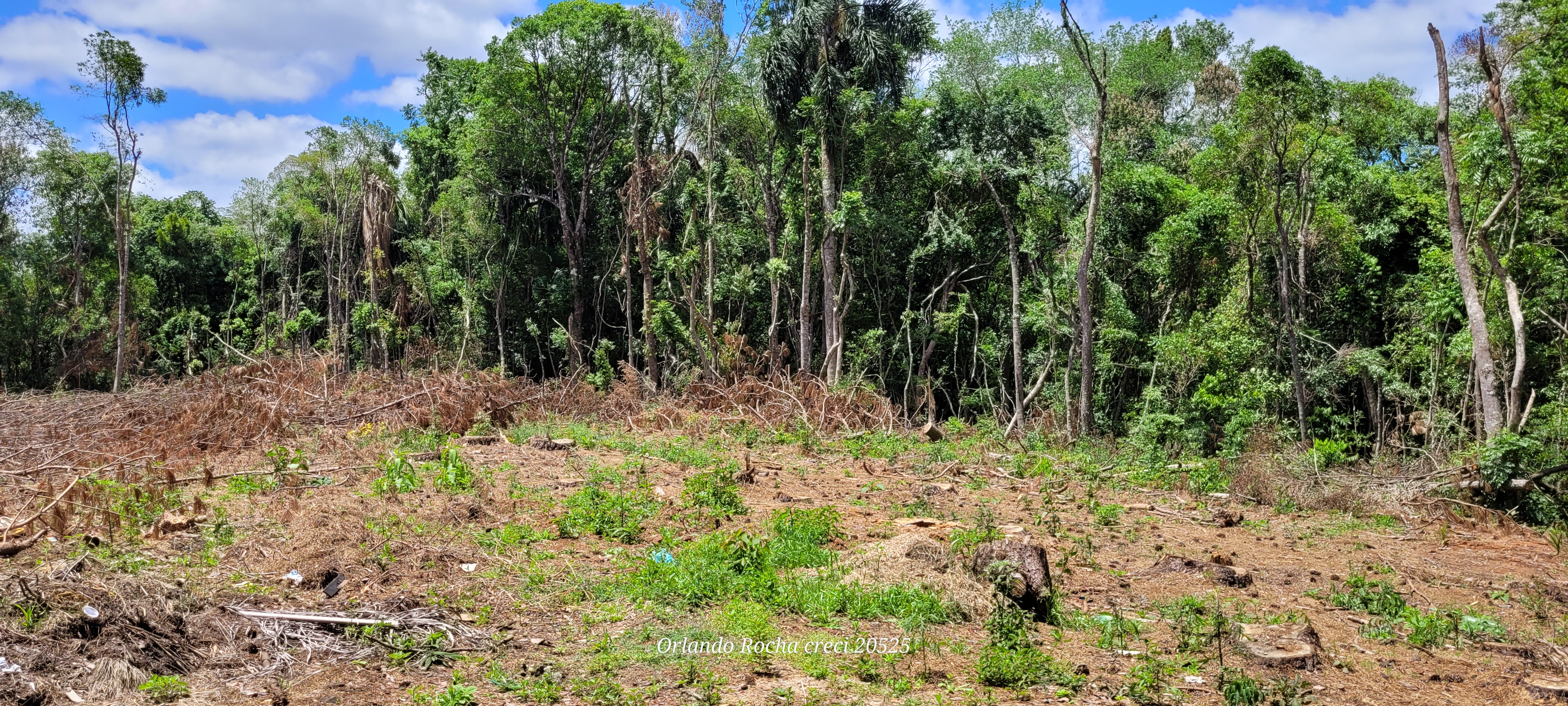 Foto do imóvel: Terreno à Venda, 3 m²em São Miguel - Curitiba