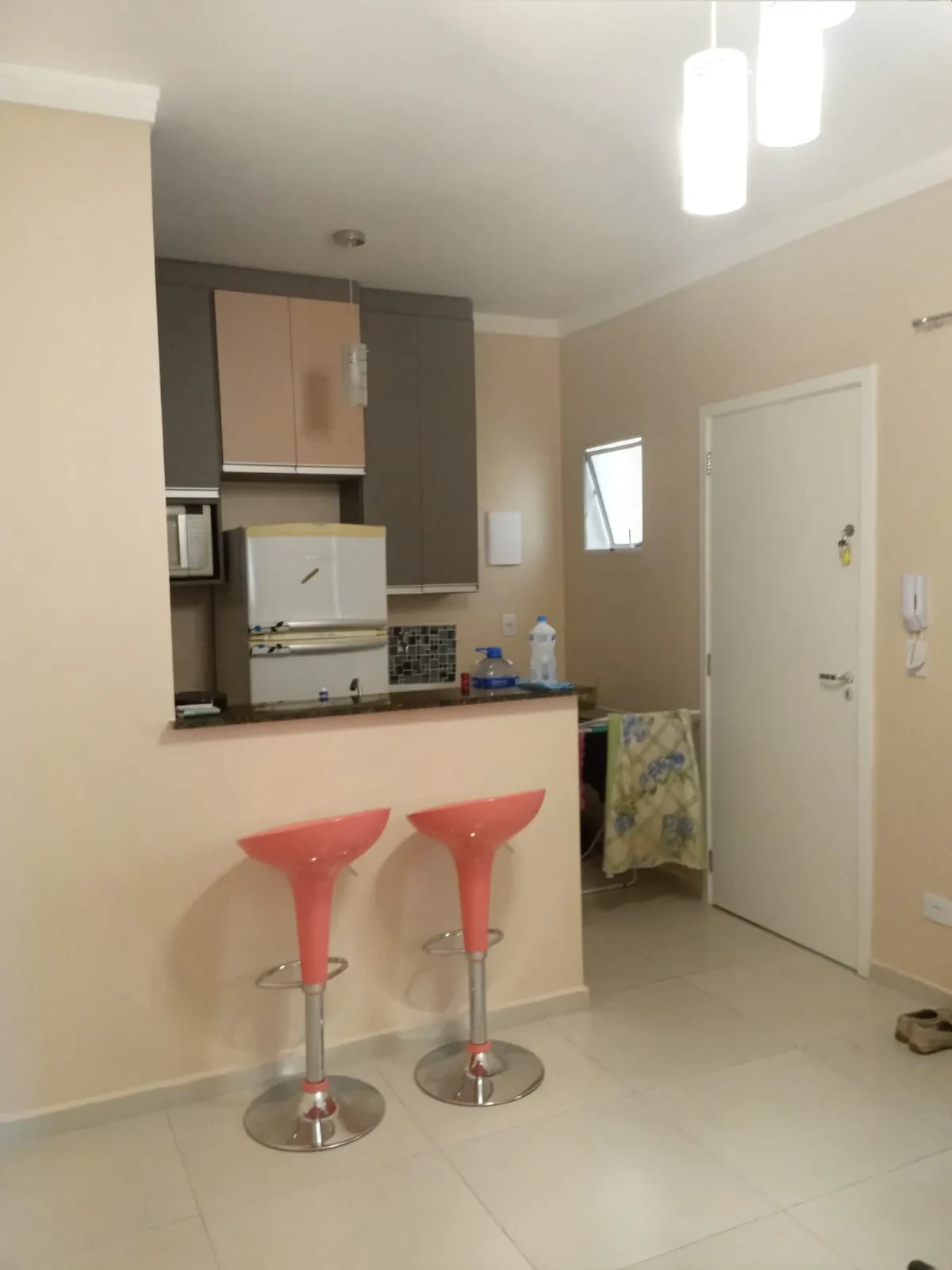 Imagem Apartamento com 1 Quarto à Venda, 33 m² em Vila Gustavo - São Paulo