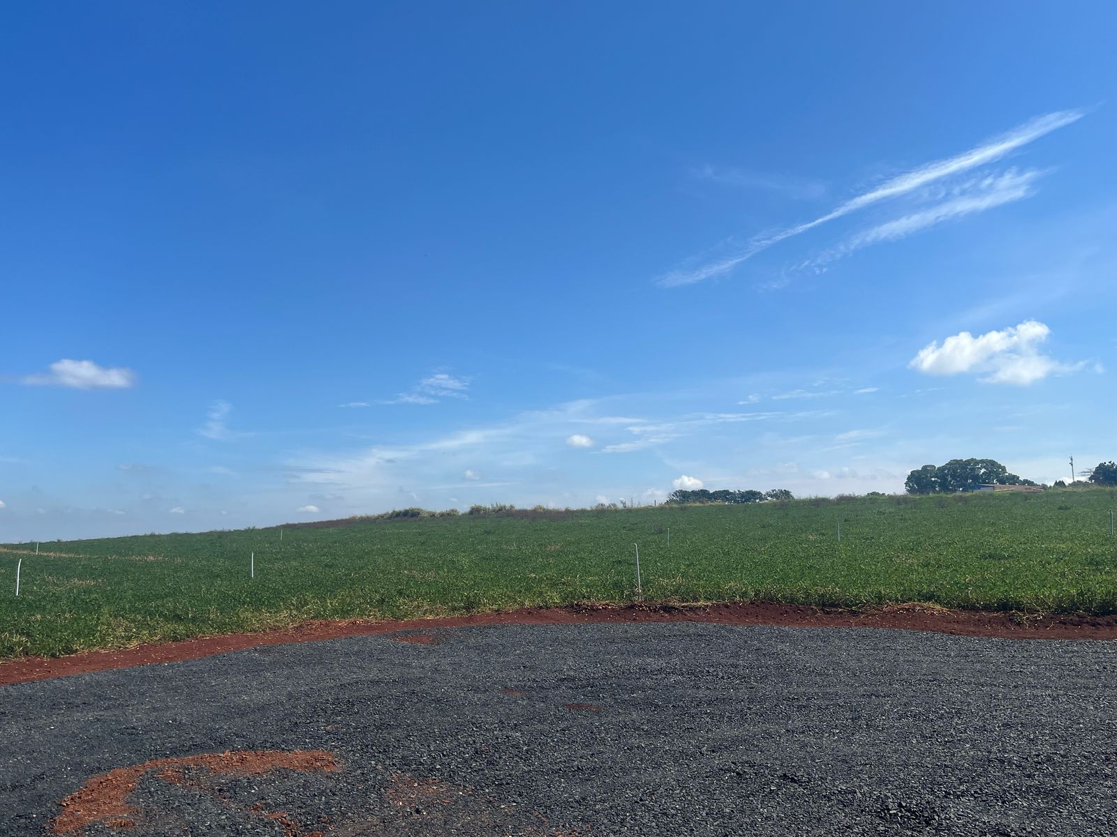 Imagem Terreno à Venda, 250 m² em Monte Carmelo - Cravinhos