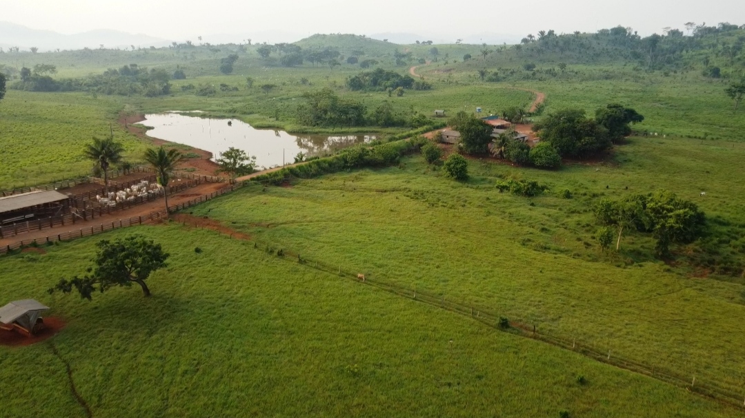 Foto do imóvel: Fazenda à Venda, 1 m²em Centro  - São Félix do Xingu