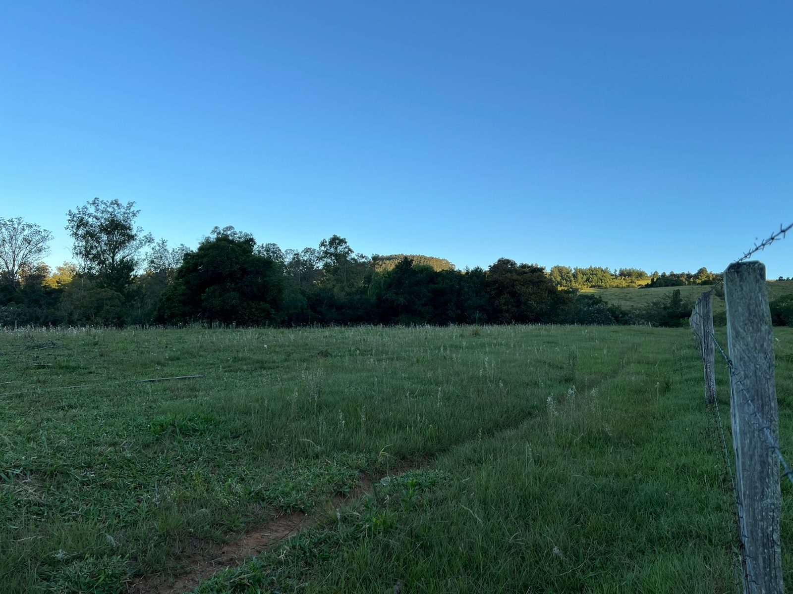 Imagem Chácara à Venda, 100.000 m²em Lomba Grande - Novo Hamburgo