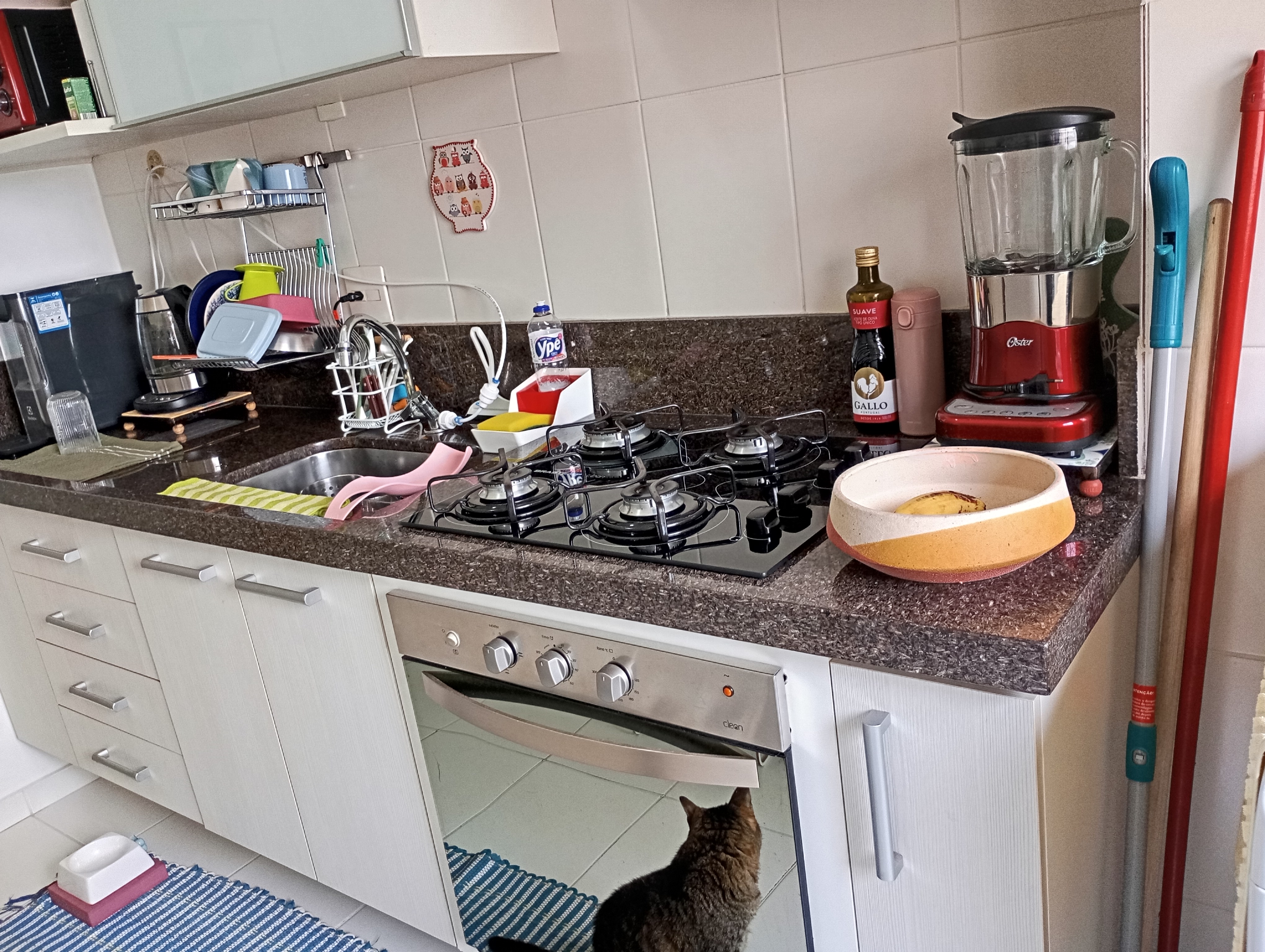 Imagem Apartamento com 2 Quartos à Venda, 52 m² em Vila Liviero - São Paulo