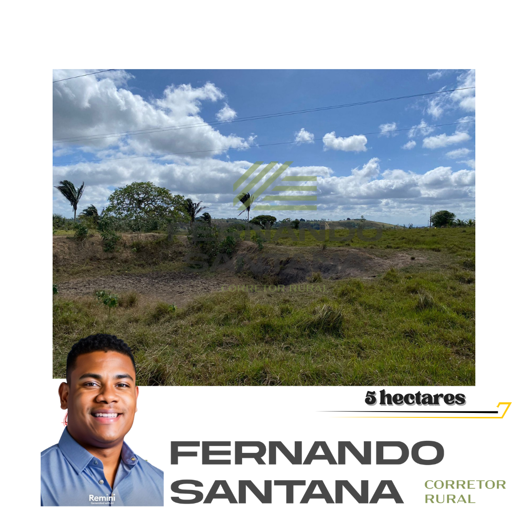 Imagem Fazenda à Venda, 5 HAem CENTRO - Borborema