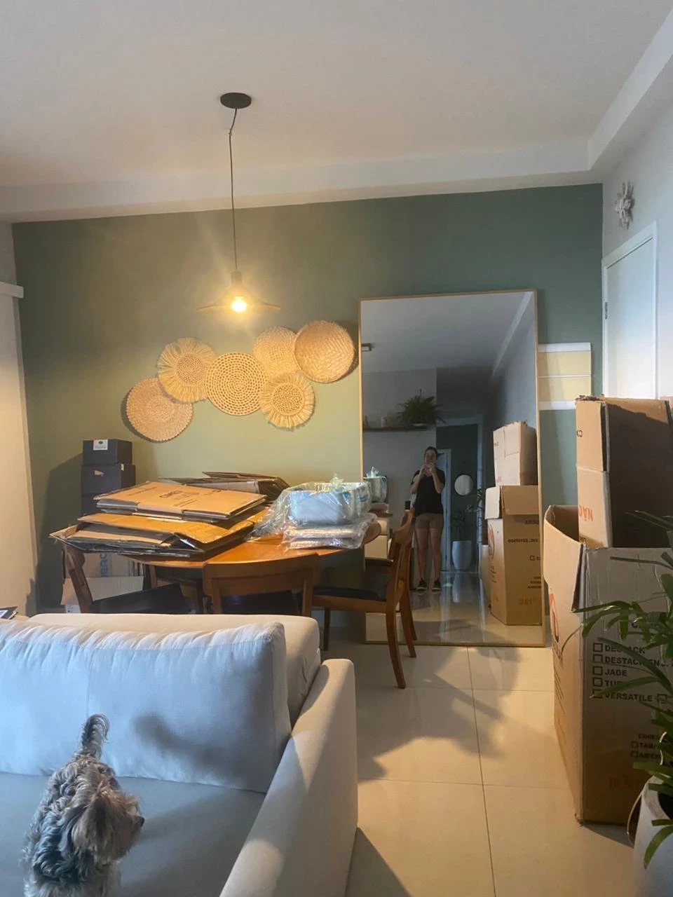 Imagem Apartamento com 2 Quartos à Venda ou Locação, 70 m² em Jardim Flórida - Jundiaí