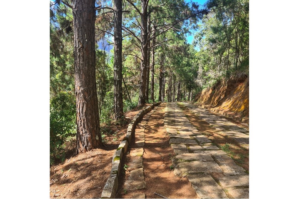 Imagem Terreno à Venda, 5.030 m² em Cuiabá - Petrópolis