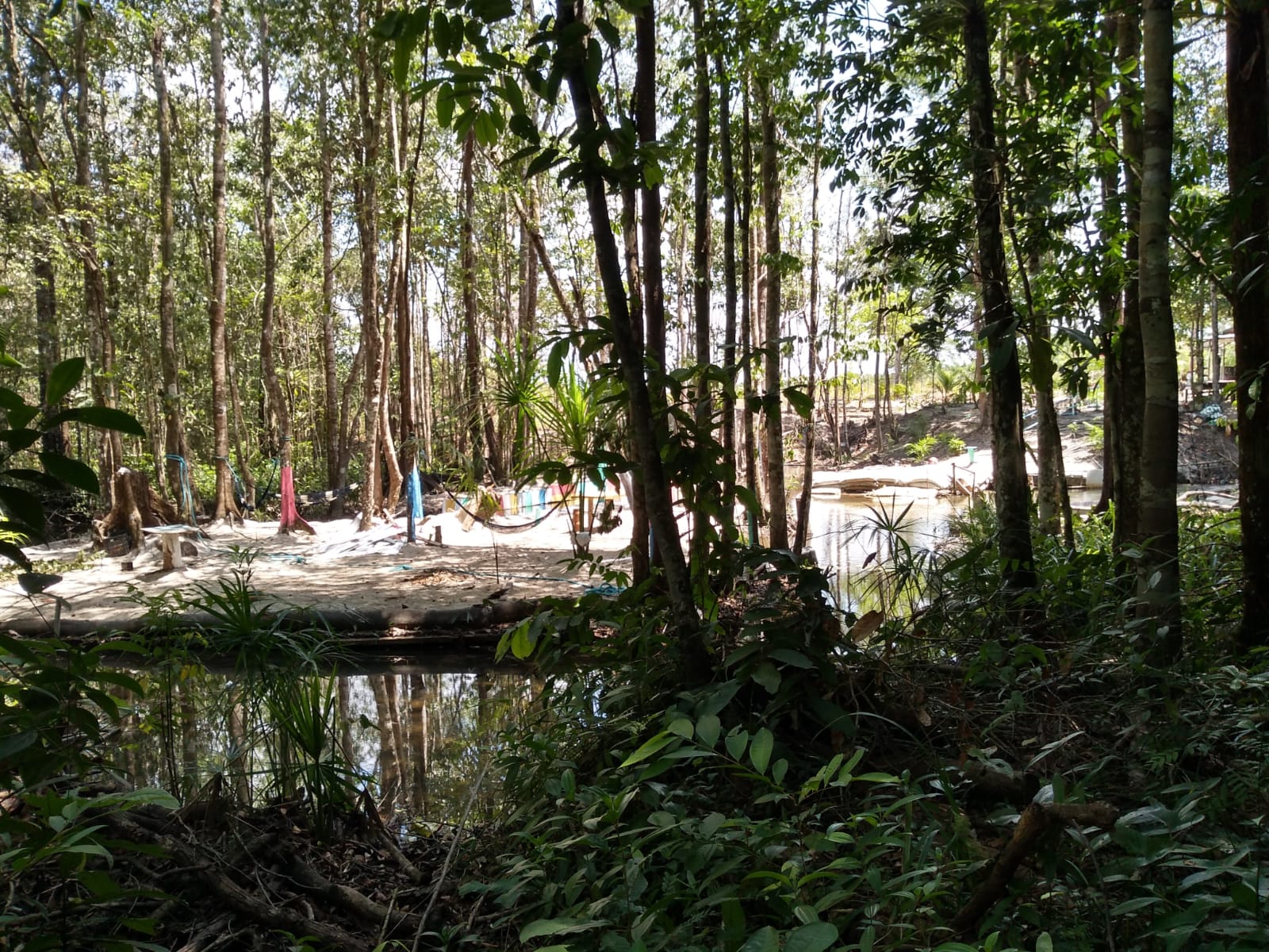 Imagem Chácara à Venda, 37 m²em Zona Rural - Vigia