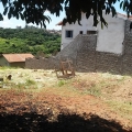Imagem Terreno à Venda ou Locação, 250 m²em Conjunto Vivi Xavier - Londrina